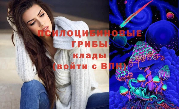 соль ск Горнозаводск