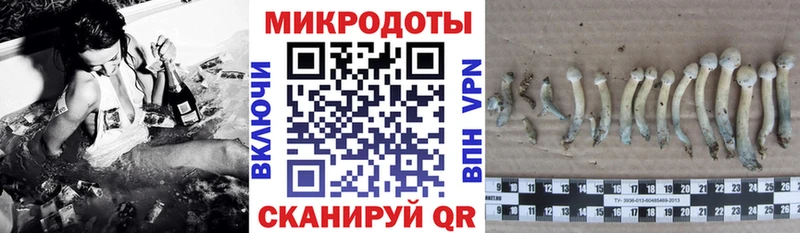 Псилоцибиновые грибы прущие грибы  Меленки 